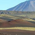 Reserva La Payunia