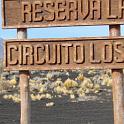 Entrada Reserva La Payunia
